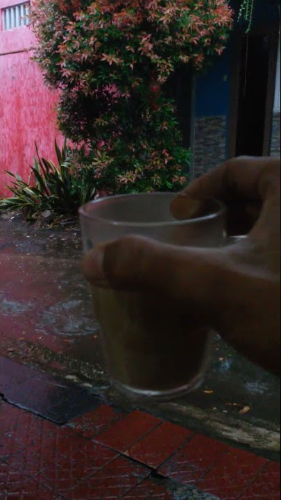 Ngopi Geboy Pagi Hari Pas Turun Hujan