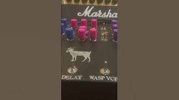 Sitar-influenced riffs with the Make Sounds Loudly Drone Synth pedal board and Ibanez JEM Jr guitar