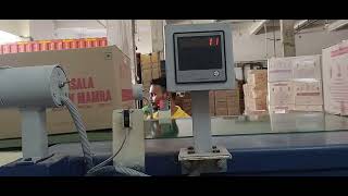 BULK BOX LOADING TELESCOPIC CONVEYOR