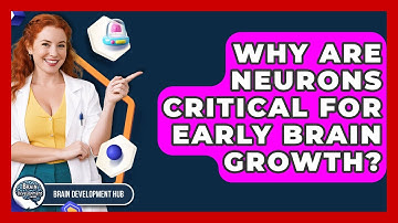 Why Are Neurons Critical For Early Brain Growth? - Brain Development Hub