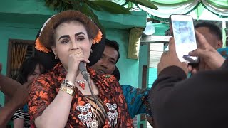 GELO // LALI JANJINE