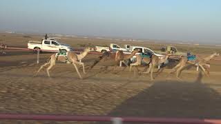 الجمعة  ه  الشوط الثالث بكارمفاريد م