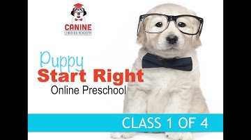 Canine Learning Academy Online Puppy Start Right (Class 1) Part 1 Group Class