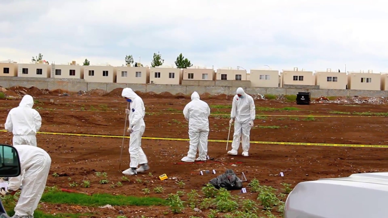 perito judicial rs Práctica de Criminalística