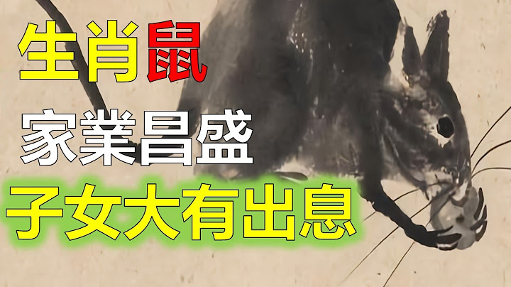 生肖属鼠人财运傍身，偏财滔滔，家业昌盛，子女大有出息，2023年12生肖运势，预测十二生肖（鼠）生肖运程，属鼠人今年运势及每月运程详解，属鼠人有观音菩萨的庇护，将会有大财进账好运连连，财气旺旺万事顺意 - 天天要闻