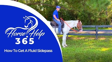 How To Get A Fluid Sidepass | Horse Help - Michael Gascon