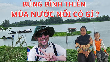 Về thăm Búng Bình Thiên mùa nước nổi 2025 Có gì ?