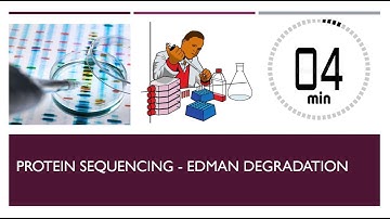 Protein Sequencing - Edman Degradation