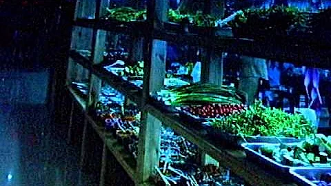 The Healing Miracle of Green Foods