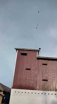 SP Raja Liur Revisi & Tarik Senja hari ke 59 ..Josss Andi Sufar dan Tim