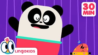 BEES DINOSAURS AND MORE FUN CARTOONS  Science for Kids | Lingokids