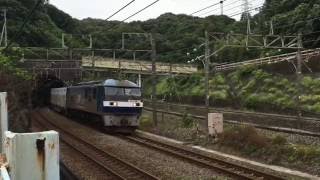 JR貨物 71レ EF210-106牽引コンテナ貨物列車