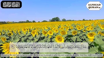 أفأمنوا مكرَ الله.. ما تيسر من سورة الأعراف. استماعا طيبا.