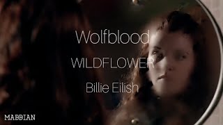 Download Lagu Jana vs. Maddy | Jana's POV | Wolfblood | WILDFLOWER by Billie Eilish MP3 Download Lagu Jana vs. Maddy | Jana's POV | Wolfblood | WILDFLOWER by Billie Eilish MP3