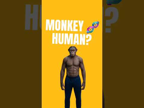 Can Future Tech Create Human-Monkey Mutants?