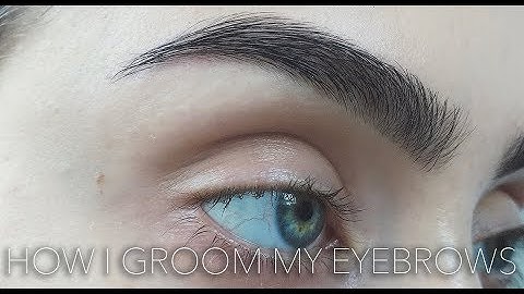 Makeup Tutorial: How I groom my eyebrows