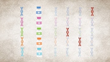 Precision Medicine & Kidney Cancer | National Kidney Foundation