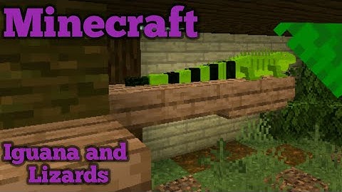 Bedrock Zoo || Reptile House - Part 1