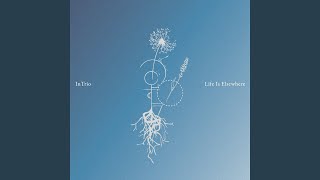 About That Olive Tree - InTrio