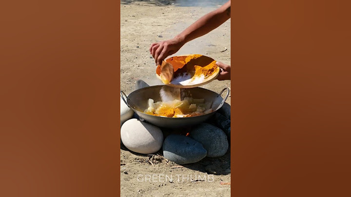 Cook a Delicious Meal in the Wild Using Cactus! 🌵🔥