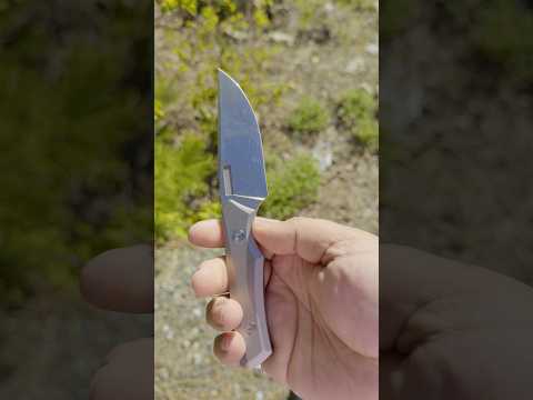 Pocket check Vero