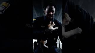A lost kitten  #love #rescue #rescuecats #bodycam #fyp #shorts