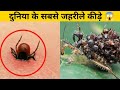 Top-3 dangerous insects) दुनिया के सबसे जहरीले कीड़े 🕷 #shorts #youtubeshorts