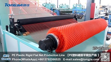 PE Plastic Rigid Flat Net and Geonet Machine