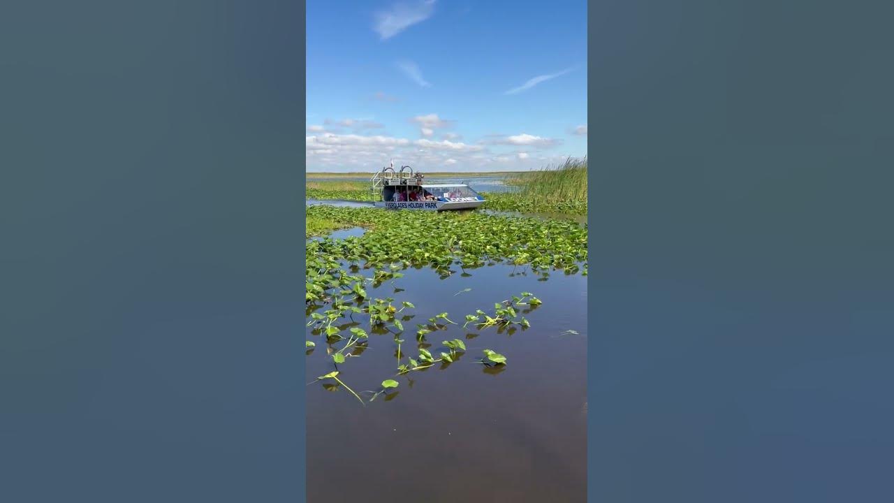 The Ultimate Everglades Airboat Ride – Looney’s Fresh New Look! 🚤