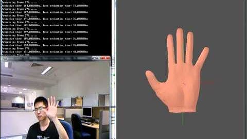 Hand Pose Estimation with a Single Kinect Sensor