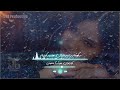 سکوتم را به باران هدیه کردم