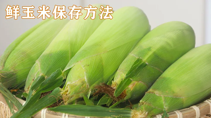 鮮玉米保存方法|吃了30年玉米，終於知道鮮玉米2種保存方法，放1年都新鮮不壞 Fresh corn preservation method【甜心糖豆美食】 - 天天要聞