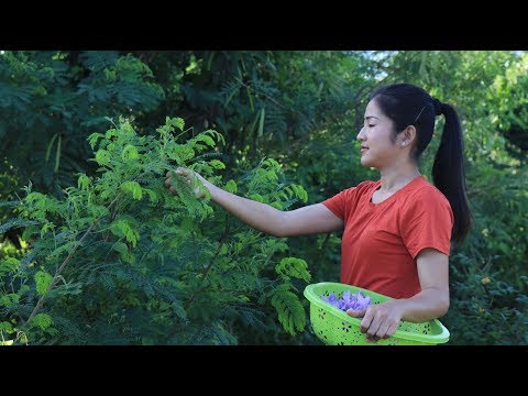 awesome-traditional-food.-cambodia-noodle-recipe-cooking-by-countryside-life-tv.