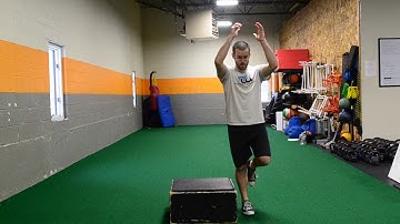 90 Degree Single Leg Box Jump To Double Leg Landing