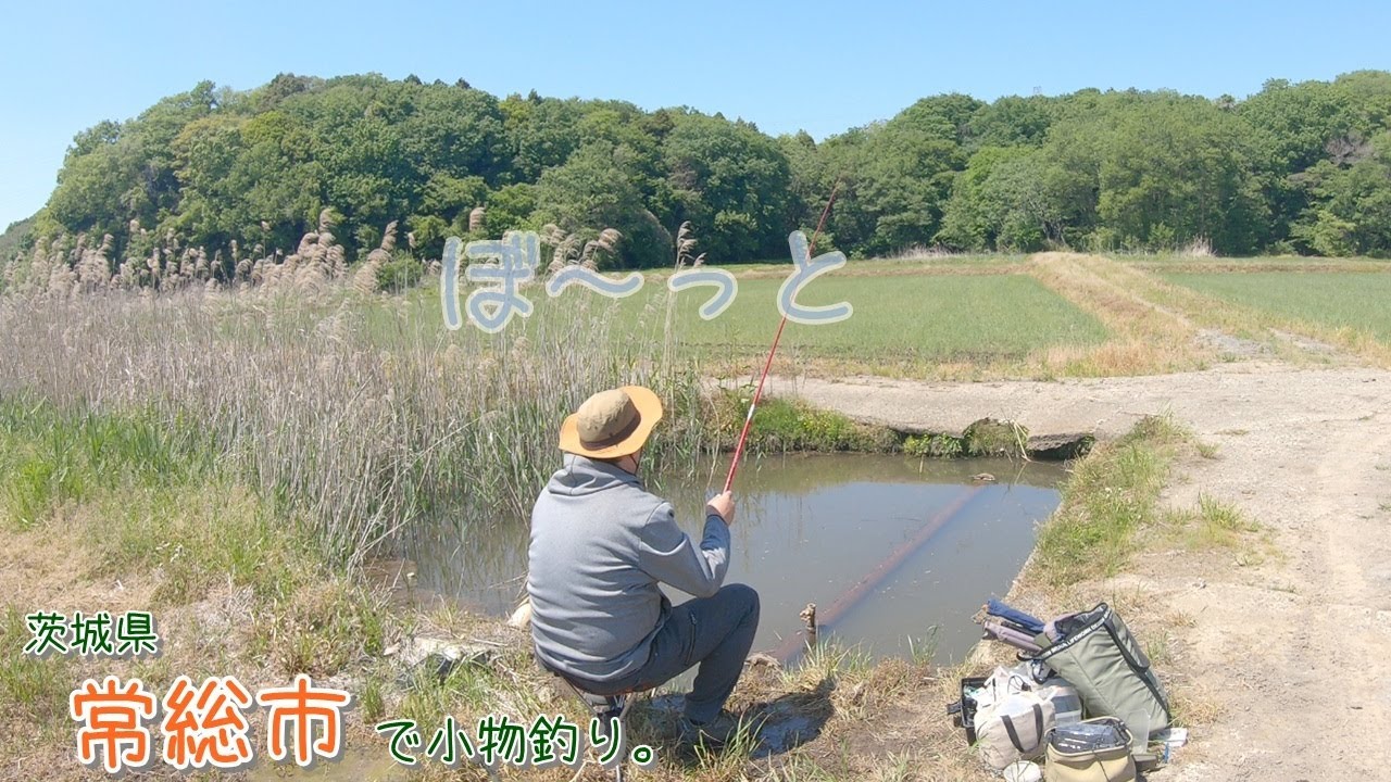 心休まる田舎の癒し風景♪ のんびり小物釣り～♪  茨城県 常総市で小物釣り。