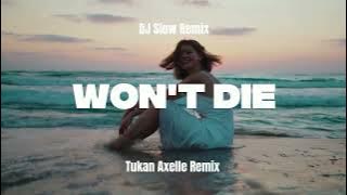Dj Slow Remix! Won't Die ( Tukan Axelle)