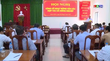 Châu Thành: Tìm giải pháp củng cố, nâng cao hiệu quả hoạt động của  kinh tế hợp tác | LONG AN TV