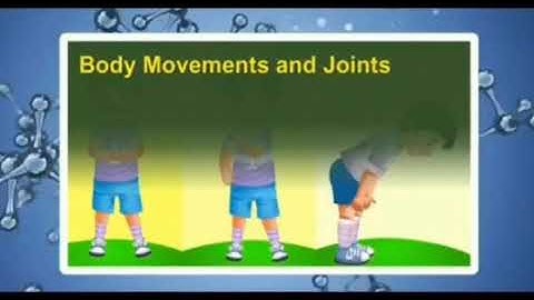 Class 6 - Science Chapter 8            Body Movements - Part 3