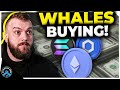 Massive crypto wave coming whales are buying