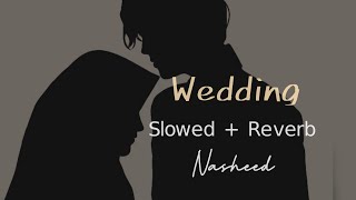 Wedding Nasheed  Slowed  Reverb  Muhammad Al Muqit  Zaid Writex