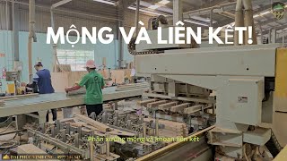 Phân xưởng khoan liên kết và tạo mộng trong nhà máy nội thất!