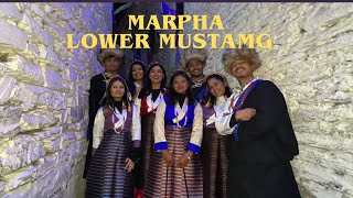 MARPHA, MUSTANG //  push up challenge// jerry galli❤️