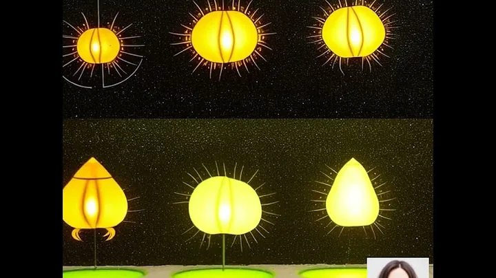 Discover New Zealand's Enchanting Waitomo Glowworm Caves Underground Celestial Wonders