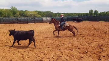 Yada Yada Boon - 🔥Cow Work!🔥