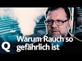 Hausbrand: So verbreitet sich der Rauch | Quarks