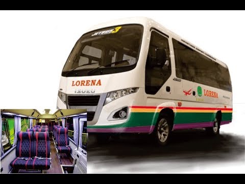 Lorena Airport Connexion, Mini Bus Bandara nyaman dari Bandara Halim ke Bogor