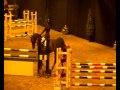 Advance hengstencompetitie deurne 12 jan 2011 reinie tewis hester klompmaker