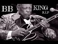 Bb king  blues boy tune  cover by simon borro