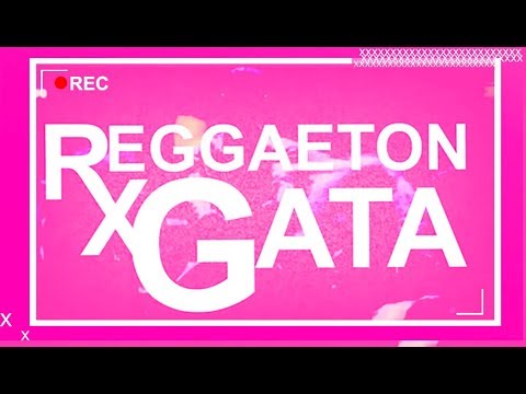 Gata la reggaeton con Reggaeton needed