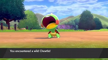 ⭐Shiny Chewtle after a Curious Encounter⭐